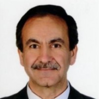 Prof.Dr. NALAN KABAY | AVESİS